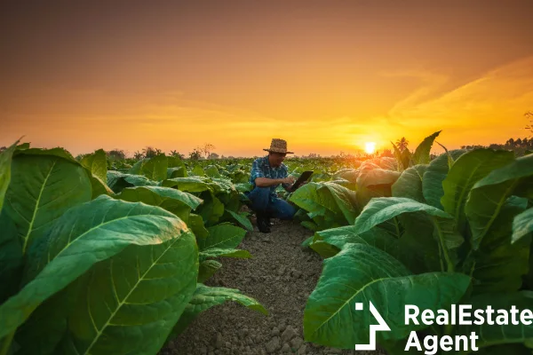 asian farmer working on field man