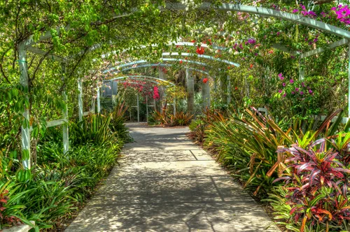 bright colorful flowers on an arch at botanical garden in naples florida