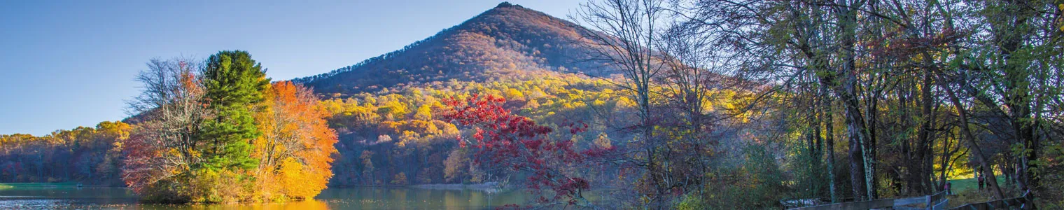 peaks of otter lake virginia small