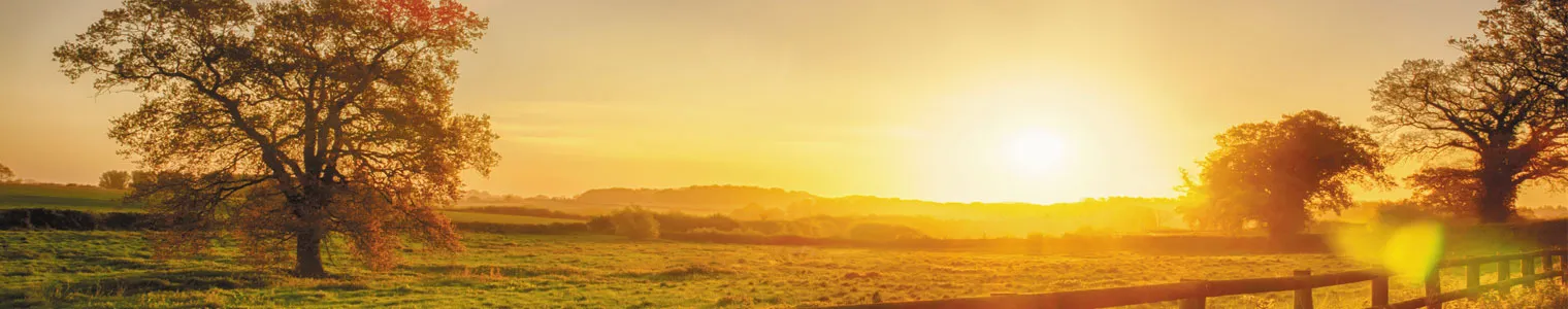 sunrise over grassy rural landscape