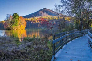 Explore The Various Outdoor Attractions In FOREST, VA